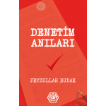 Denetim Anıları - Feyzullah Budak