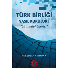 Türk Birliği Nasıl Kurulur? - Feyzullah Budak