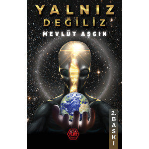 Yalnız Değiliz - Mevlüt Aşgın